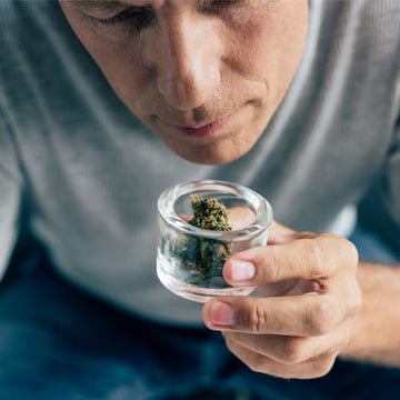 Zero Air Smell Proof Stash Jar